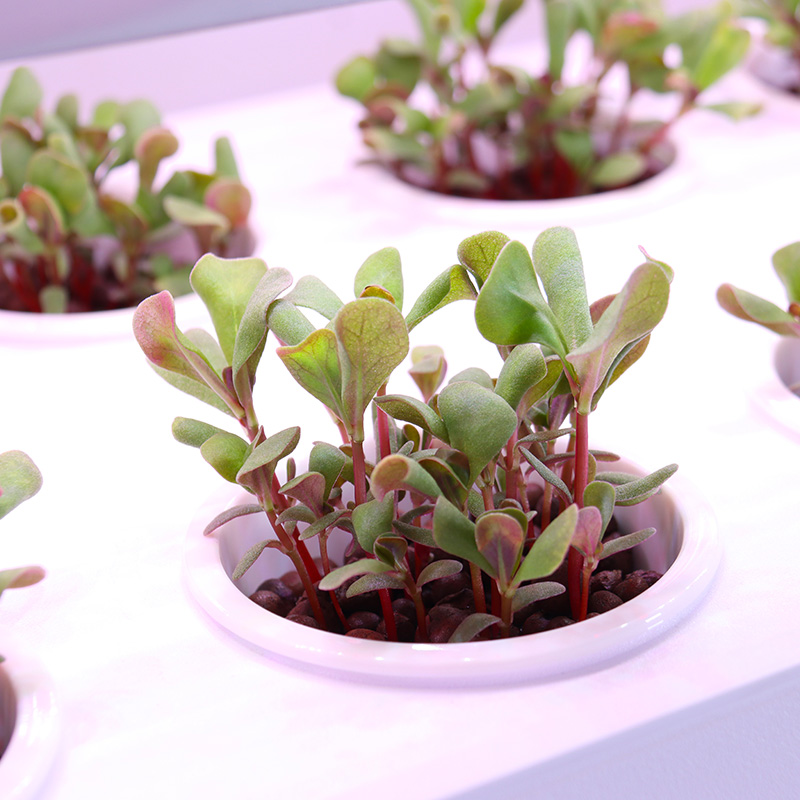 Smart Indoor Garden Hydroponic - Smart Garden Stackable Planters ulasan dan harga